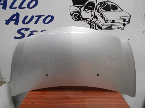 Capot 
RENAULT Clio 3 Phase 2
An : 03.2009 / 12.2014

Frais de Port sur devis