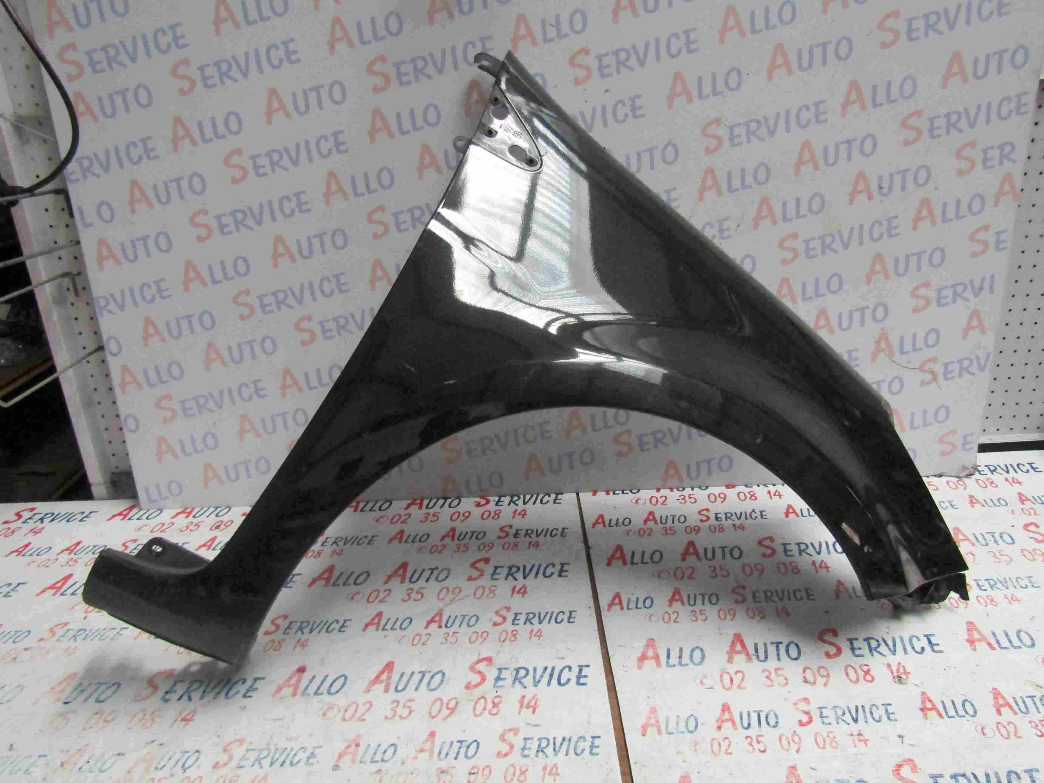 Aile AV Droit
RENAULT Clio 3 Phase 2
09.2010

Couleur : Noir
Frais de Port sur devis